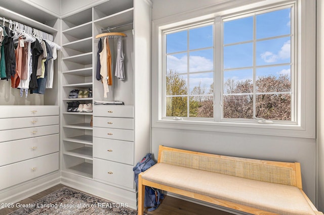 13600 Forest Hill Rd, Grand Ledge, MI 48837 - spacious closet with wood finished floors