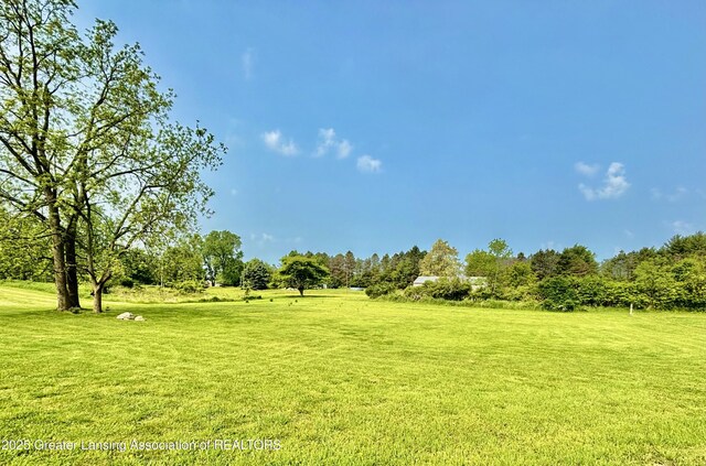 8464 W Howe Rd, Eagle, MI 48822 - view of grassy yard