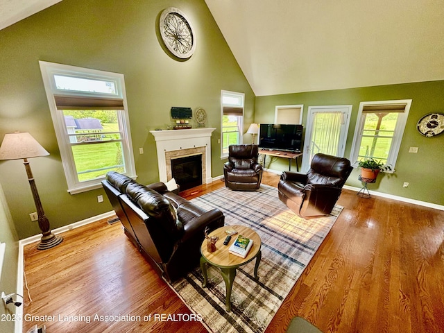 8464 W Howe Rd, Eagle, MI 48822 - living room featuring high vaulted ceiling, a fireplace, baseboards, and wood finished floors
