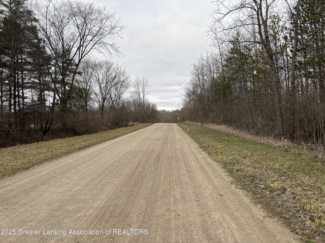 00 W Ranger Rd, Perrinton, MI 48871