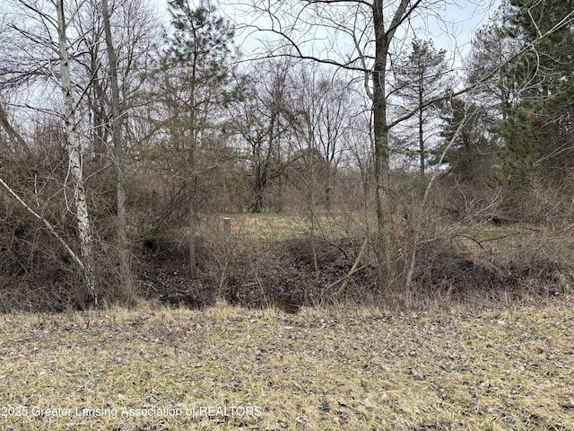 00 W Ranger Rd, Perrinton, MI 48871