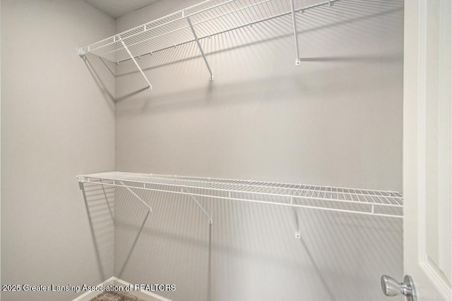 3012 Moccasin Dr, Dewitt, MI 48820 - view of spacious closet