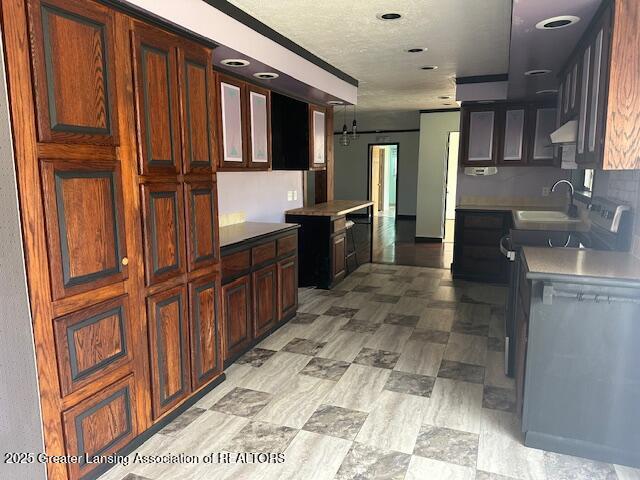 464 N Rolland Rd, Weidman, MI 48893 - kitchen featuring extractor fan, a textured ceiling, a sink, and tasteful backsplash