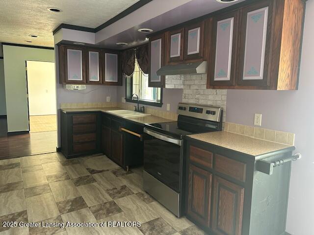 464 N Rolland Rd, Weidman, MI 48893 - kitchen featuring a sink, glass insert cabinets, under cabinet range hood, and stainless steel range with electric stovetop