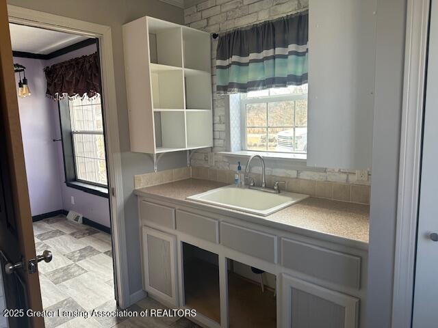 464 N Rolland Rd, Weidman, MI 48893 - kitchen with baseboards, light countertops, a sink, and open shelves