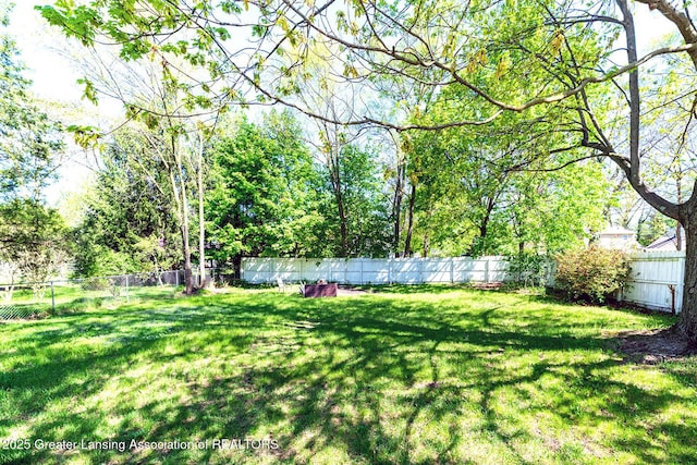 view of yard