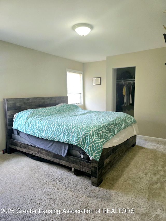9215 W Kinsel Hwy, Vermontville, MI 49096 - photo 18