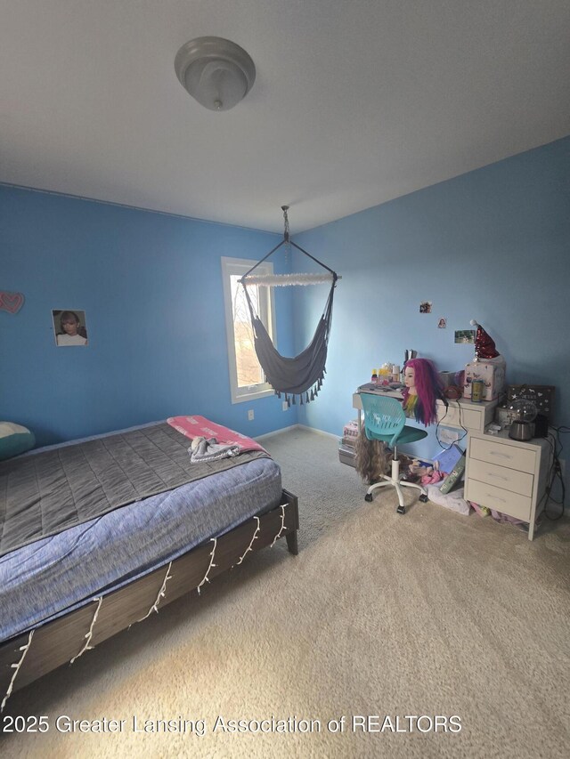 9215 W Kinsel Hwy, Vermontville, MI 49096 - photo 25