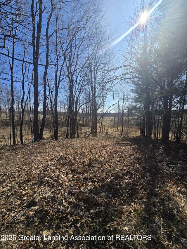 9215 W Kinsel Hwy, Vermontville, MI 49096 - photo 40