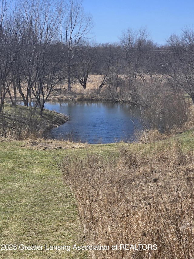 9215 W Kinsel Hwy, Vermontville, MI 49096 - photo 34