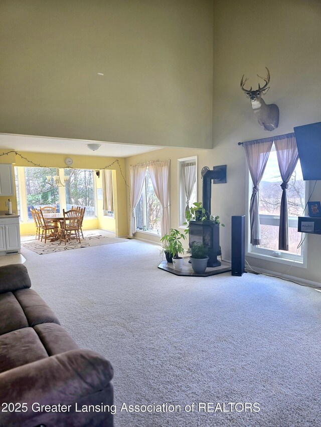 9215 W Kinsel Hwy, Vermontville, MI 49096 - photo 10