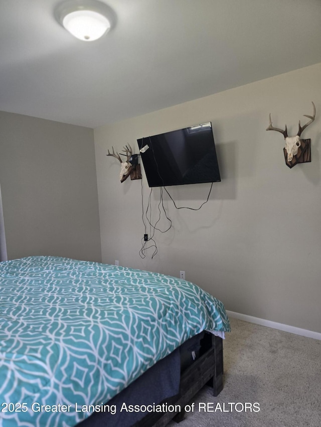9215 W Kinsel Hwy, Vermontville, MI 49096 - photo 19