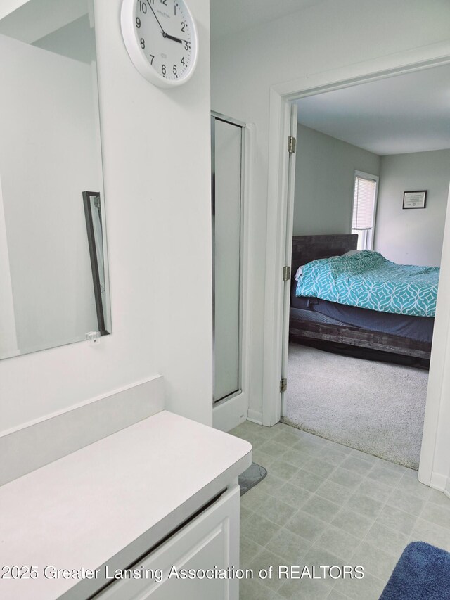9215 W Kinsel Hwy, Vermontville, MI 49096 - photo 20