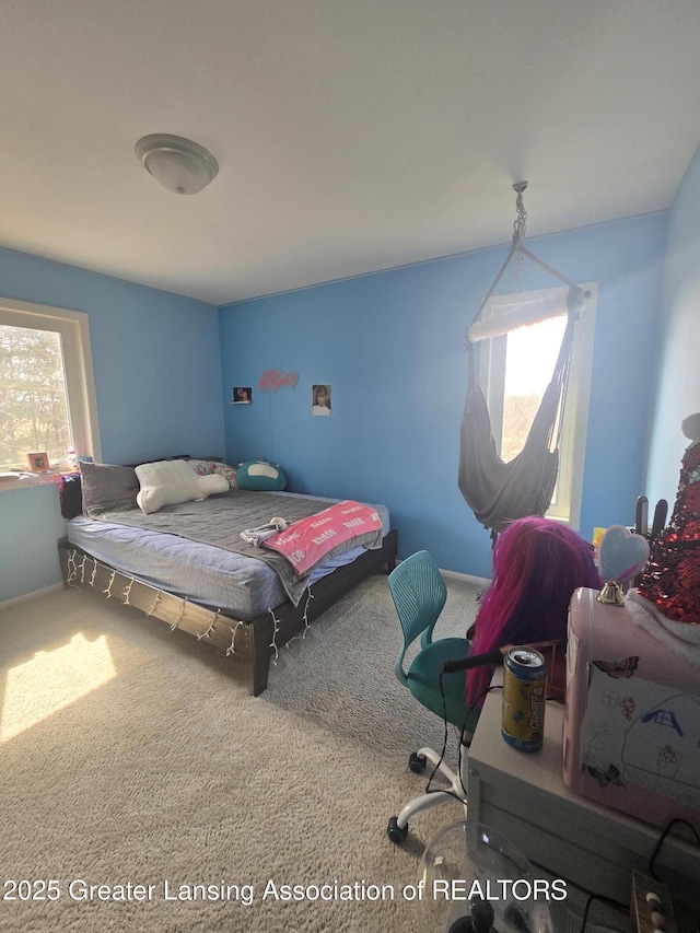 9215 W Kinsel Hwy, Vermontville, MI 49096 - photo 24
