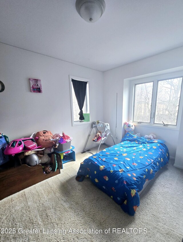 9215 W Kinsel Hwy, Vermontville, MI 49096 - photo 26