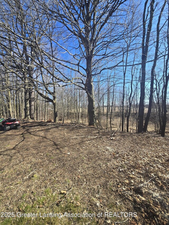 9215 W Kinsel Hwy, Vermontville, MI 49096 - photo 43