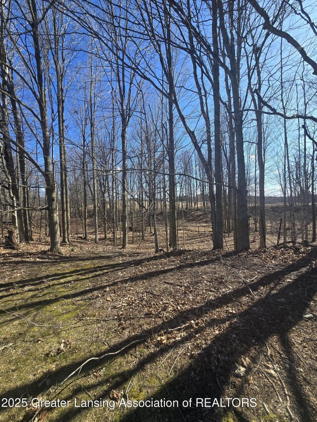 9215 W Kinsel Hwy, Vermontville, MI 49096 - photo 39