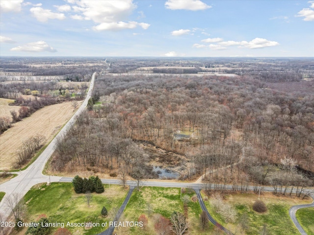 bird's eye view