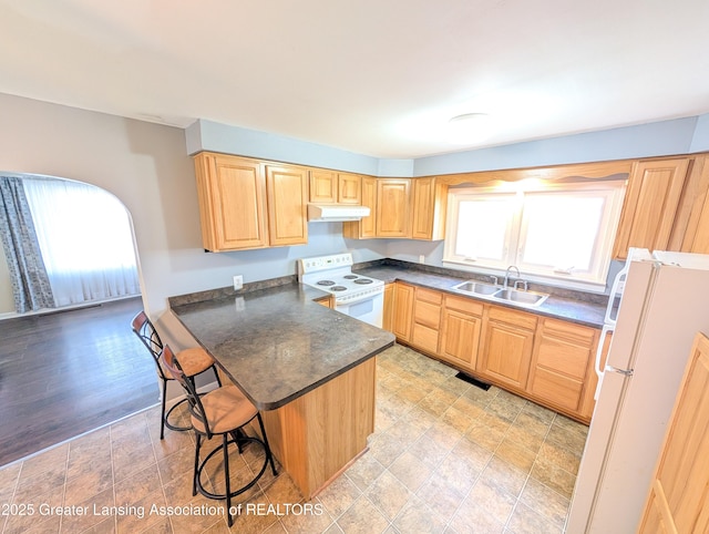 kitchen with a peninsula, white appliances, dark countertops, under cabinet range hood, and a sink