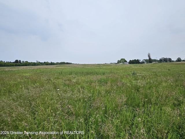 V/L W Barnes Rd, Mason, MI 48854