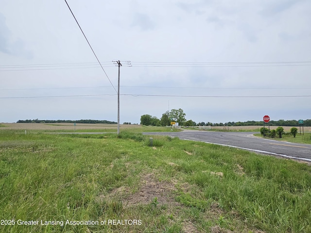 V/L W Barnes Rd, Mason, MI 48854