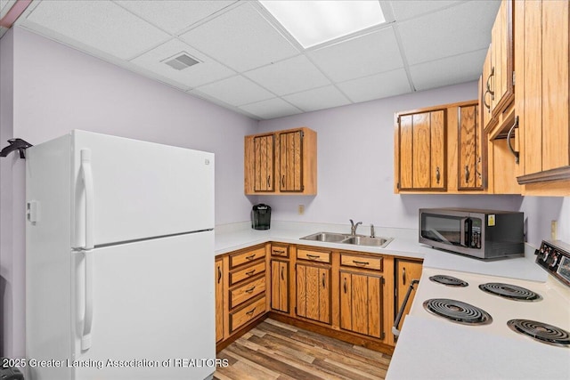 kitchen featuring light countertops, a sink, wood finished floors, white appliances, and a paneled ceiling