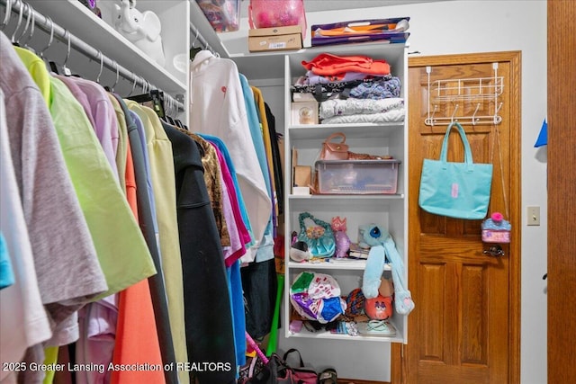 view of walk in closet