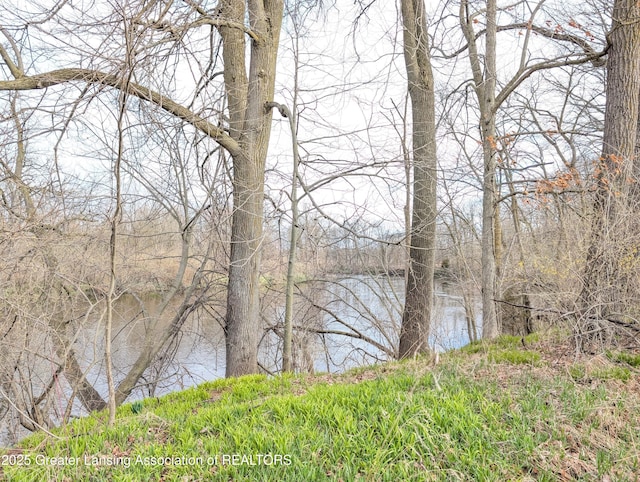 12302 Sandborn Rd, Portland, MI 48875 - water view