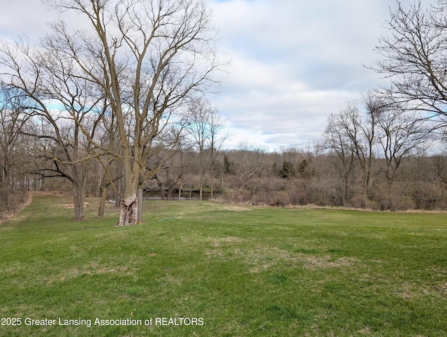 12302 Sandborn Rd, Portland, MI 48875 - view of yard