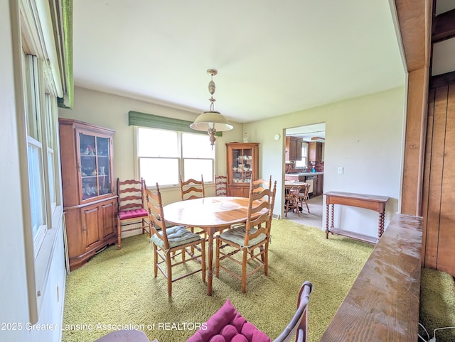 12302 Sandborn Rd, Portland, MI 48875 - dining area with light colored carpet