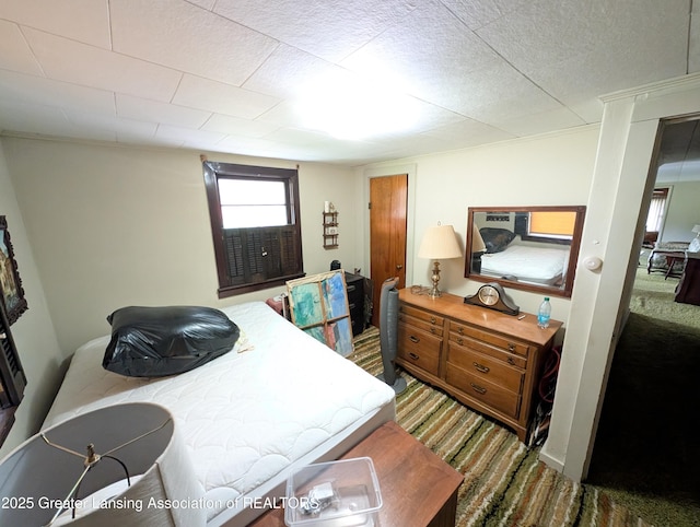 12302 Sandborn Rd, Portland, MI 48875 - bedroom featuring carpet
