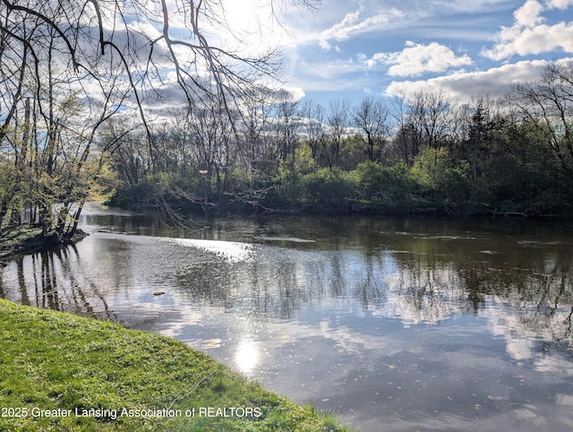 12302 Sandborn Rd, Portland, MI 48875 - property view of water