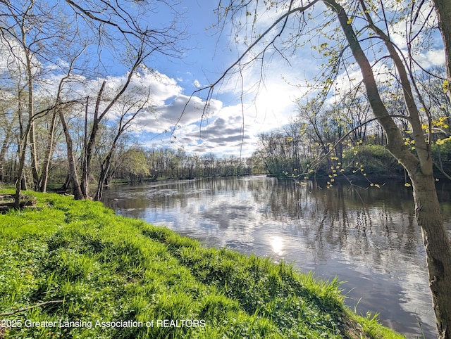 12302 Sandborn Rd, Portland, MI 48875 - property view of water