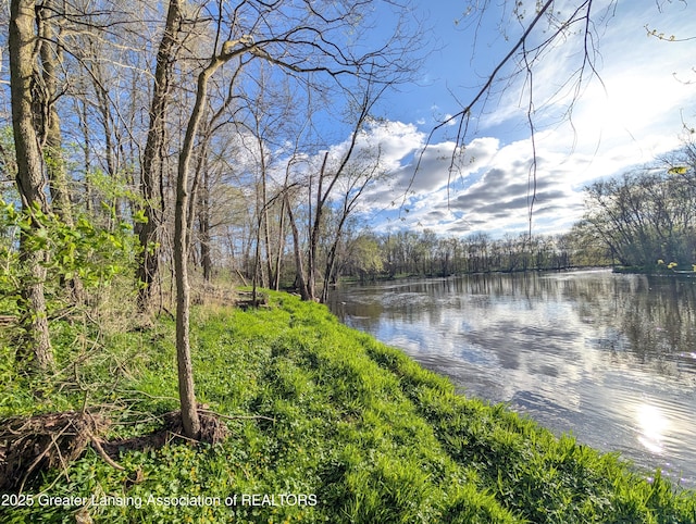 12302 Sandborn Rd, Portland, MI 48875 - property view of water