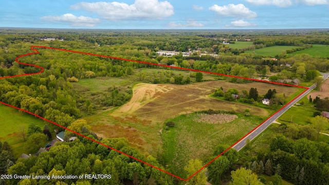 1480 E Round Lake Rd, Dewitt, MI 48820 - photo 3