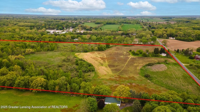 1480 E Round Lake Rd, Dewitt, MI 48820 - photo 4