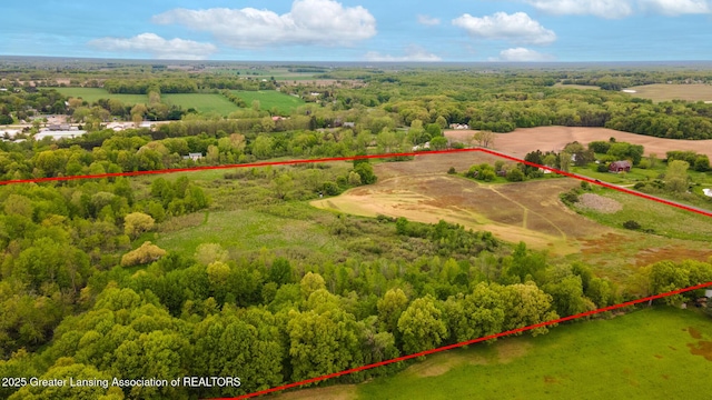 1480 E Round Lake Rd, Dewitt, MI 48820 - photo 5