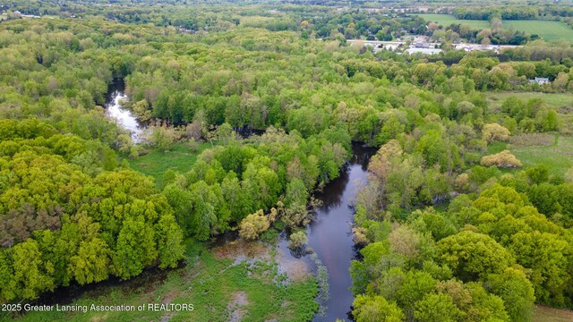 1480 E Round Lake Rd, Dewitt, MI 48820 - photo 6