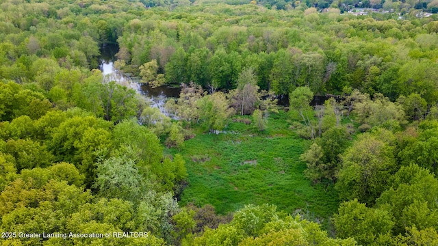 1480 E Round Lake Rd, Dewitt, MI 48820 - photo 8