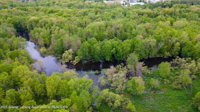 1480 E Round Lake Rd, Dewitt, MI 48820 - photo 9