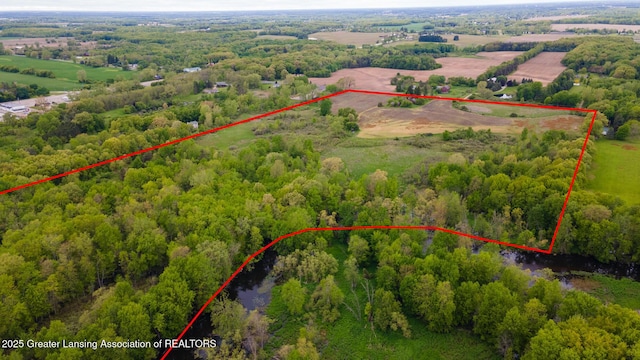 1480 E Round Lake Rd, Dewitt, MI 48820 - photo 10