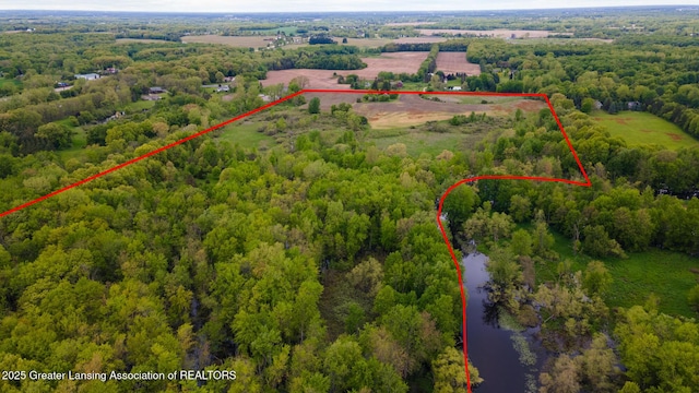 1480 E Round Lake Rd, Dewitt, MI 48820 - photo 11