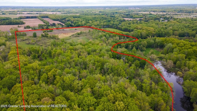 1480 E Round Lake Rd, Dewitt, MI 48820 - photo 12