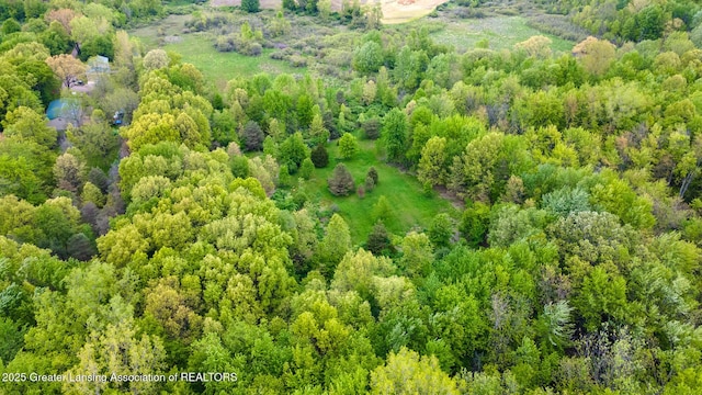 1480 E Round Lake Rd, Dewitt, MI 48820 - photo 13
