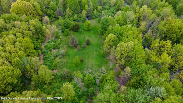 1480 E Round Lake Rd, Dewitt, MI 48820 - photo 14