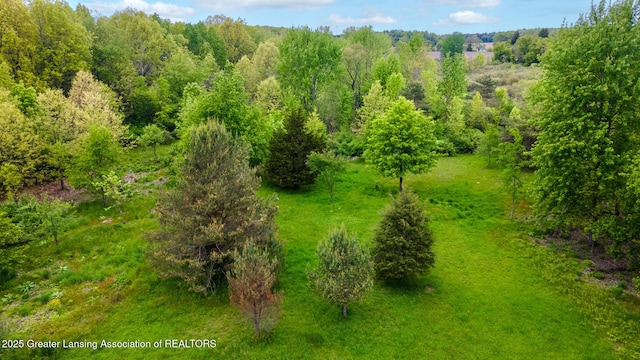 1480 E Round Lake Rd, Dewitt, MI 48820 - photo 15