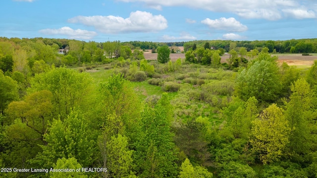 1480 E Round Lake Rd, Dewitt, MI 48820 - photo 17
