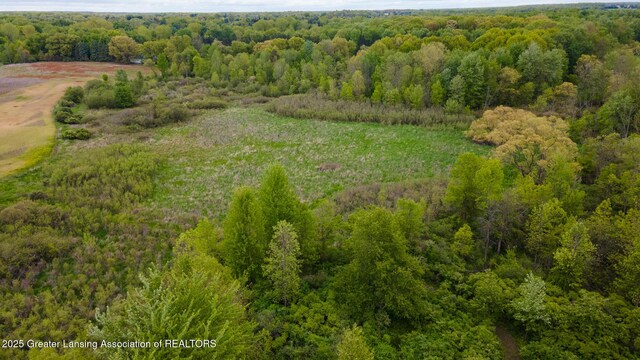 1480 E Round Lake Rd, Dewitt, MI 48820 - photo 18
