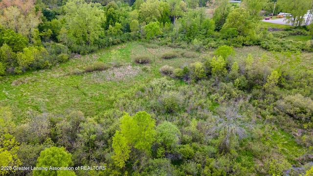 1480 E Round Lake Rd, Dewitt, MI 48820 - photo 20