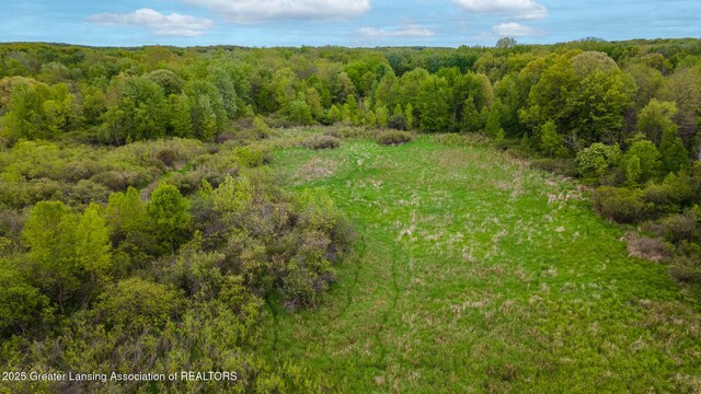 1480 E Round Lake Rd, Dewitt, MI 48820 - photo 21